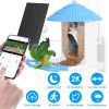Solar Powered Smart Bird Feeder 2K Bird Watching Camera With PIR Motion AI Birds Species Identify Two-Way Audio Real-Time App Notification Capture Vid