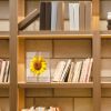 2Pcs Standing Rose Gold Metal Picture Frames 5x7IN 8x10IN Vertical Tabletop Floating Photo Frame Double-Glazed Glass Pressed Flower Frame for Home Dec