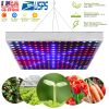 LED Grow Light Full Spectrum Hanging 225 LEDs Plant Grow Lamp Indoor Grow Light for Greenhouse Succulents Seedlings Plants Veg and Flower（15W LEDs）