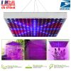 LED Grow Light Full Spectrum Hanging 225 LEDs Plant Grow Lamp Indoor Grow Light for Greenhouse Succulents Seedlings Plants Veg and Flower（15W LEDs）