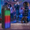 Portable Wireless Party Speaker Dual 8in Colorful Lights DJ PA System with TWS Function FM Radio USB MMC Card Reading Aux In Recording Function Wirele