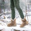 Women Ladies Snow Boots Super Soft Fabric Mid-Calf Winter Shoes Thickened Plush Warm Lining Shoes w/ Anti-slip Rubber Base Bowknot