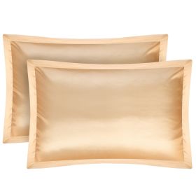 2 Pack Soft Silky Satin Pillow Case Hypoallergenic Breathable Bed Pillow Cover Queen Size Pillowcase Great for Hair Skin (Option: 2PcsQueenPillowCase Ivory)